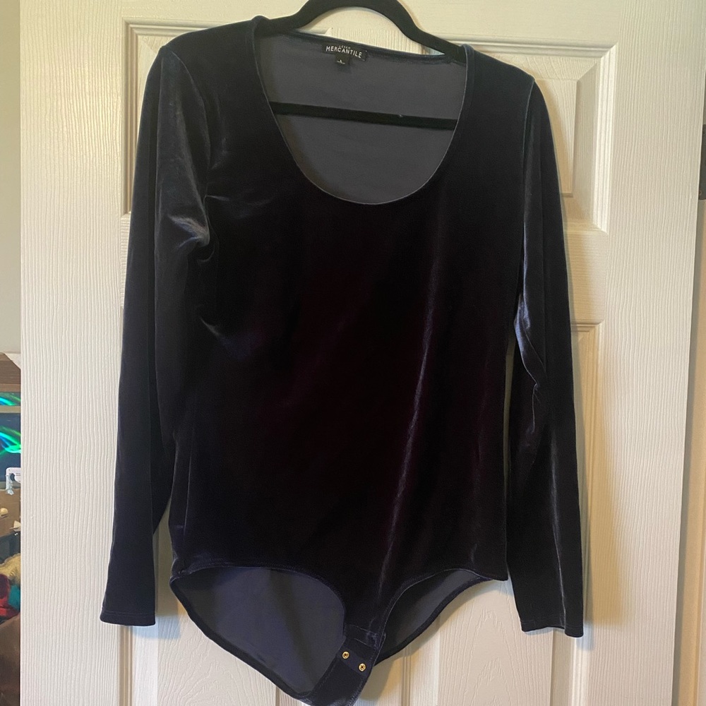 J. Crew Mercantile Royal Blue Velvet Bodysuit Size Large